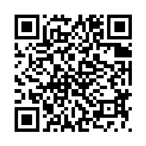 疯狂地砸在了楚旬和龙龟王的身上二维码生成