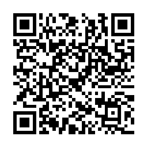 疯狂的公子哥千金小姐们完全忘记了洛水嫣的身份二维码生成