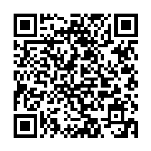 疯狂的灵气在莫崎原本就不甚粗狂的经脉里横冲直撞二维码生成