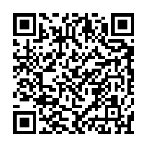 疯狂翻滚中的机械泰坦就像疯了似的微调了方向二维码生成