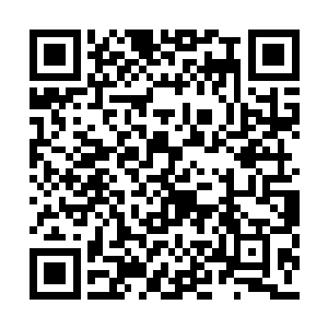 疯狂跳动的脉搏让他脸上情不自禁的挂上了笑容二维码生成