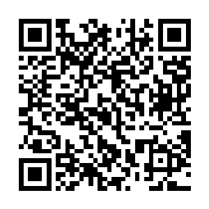 疼痛的感觉其实是通过神经末梢上的痛觉感受器产生的二维码生成