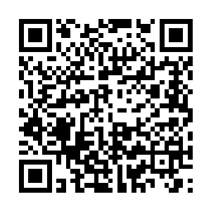 疾步走到安检口的男子仔细观察了一下那两个背影二维码生成