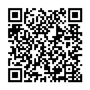 疾风狼王又发出了那种和普通疾风狼不同的嚎叫声二维码生成