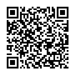 病书生笑得一脸得意的看着地上坐着的人阴鸷的笑道二维码生成