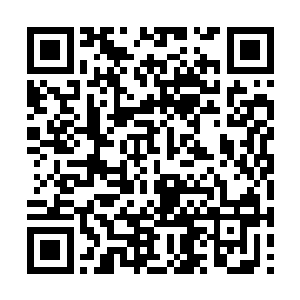 病毒……三天……全身溃烂……没有任何结果……二维码生成