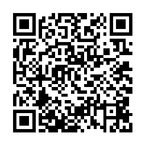 病瘦之躯虚弱得似乎随时随地都可能飞灰湮灭了二维码生成