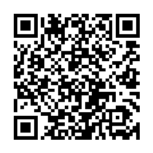 痛得也不是他们――但是他们干得每一件事我都记得清清楚楚二维码生成
