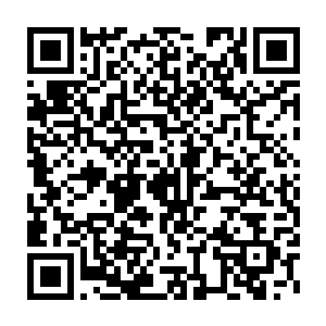 痛苦的短暂消失可以通过对他人的同情和对艺术作品的沉思来获得二维码生成