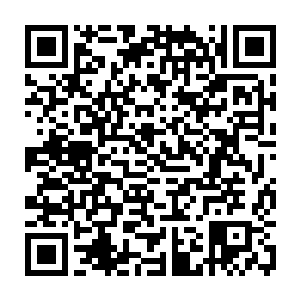 瘟疫之神陡然一个激灵――他竟然这么快就能在茫茫的枝叶中找到腐烂高原二维码生成