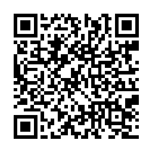 瘟疫大圣脑海中突然发现之前那些半圣死亡的过程二维码生成