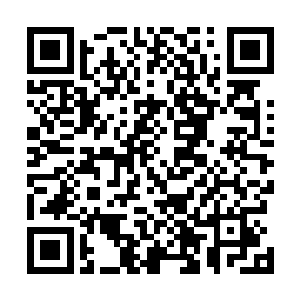 瘫在地上的这个异族在最后吐出一块黑色的脏器碎片之后二维码生成