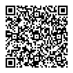 登上这架造价在5000万元以上的昂贵玩物克里斯的私人飞机相比之下就显得小儿科了许多二维码生成