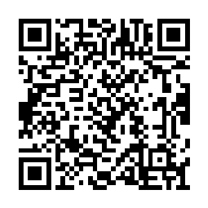 登时只见几个医护人员狼狈地从门诊楼内奔出来二维码生成