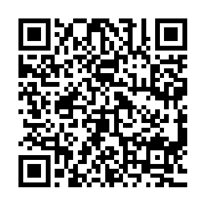 登时四面八方都是铿锵铿锵的兵器碰撞声和悉悉索索的脚步声二维码生成