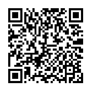 白仙儿看到宁灵雨和铁小虎的境界都在一瞬间提升了这么多二维码生成