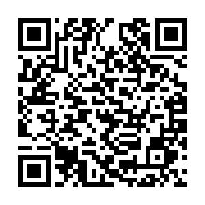 白伊伊的小姨听到一万块的时候毫不犹豫的答应了二维码生成