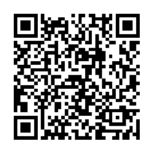 白伶儿把手里的信重重搁在谢一鸣面前的桌子上面二维码生成