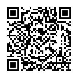 白兰一定用让人后悔活过的手段去报复始作俑者二维码生成