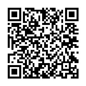 白兰你又搞什么幺蛾子啊――圣诞节早就过完了好么二维码生成