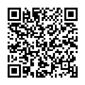 白兰入侵了因为入江正一的离开而毫无防备的前控制中心二维码生成
