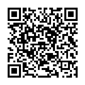 白兰就应该能直接通过项圈里的定位装置来接她了二维码生成