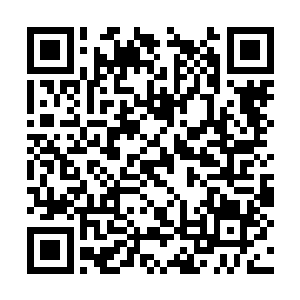 白兰带着妮娜来到了机场准备开始他们的度假生活二维码生成