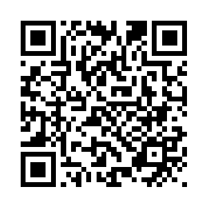 白兰当然不会让妮娜蹲在行李箱里二维码生成