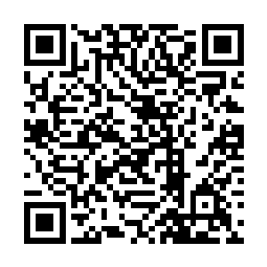 白兰肯定的眼神却让她知道了这并不是玩笑的复印纸二维码生成