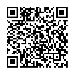 白兰还悄悄在妮娜颈部和脸颊后方多搓了些泡沫出来二维码生成