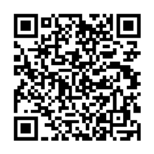 白冰儿又从衣着华贵的四名男女身上摸出了寅虎卯兔二维码生成