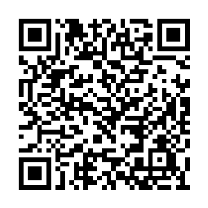 白冰儿拢了拢因为刚才动手而散下来的一缕秀发二维码生成