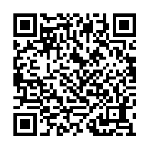 白冰和江雪的上衣和裙子无一例外地都翻了上来二维码生成