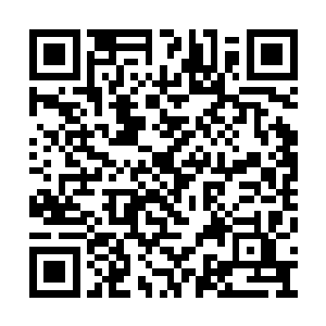 白冰雨虽然依然相信华夏九应该便在幽冥世界中二维码生成