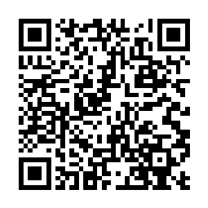 白凤凰和身穿红晶战甲的苗毅站在大殿中央面对面二维码生成