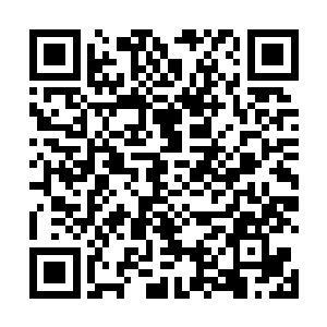 白凤打出的掌风在她话音未落之前给硬生生的收了回来二维码生成