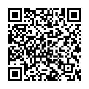 白发老者依旧是有些不敢相信的看着面前的青年二维码生成