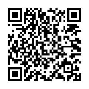 白发老魁只将这位世子殿下领进门槛便仰天大笑出王府二维码生成