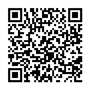 白喵喵就想着那个坏蛋会不会像以前突然间出现二维码生成