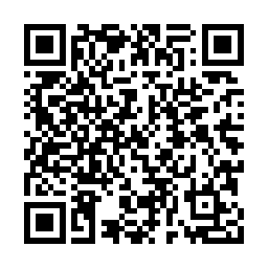 白夜和刑罚长老气喘吁吁地看着不远处的白青云二维码生成