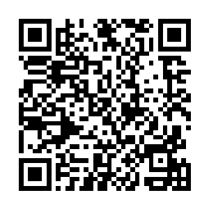 白大人蹙眉看了大街半天还是没能明白这上面有什么玄机二维码生成