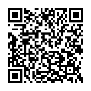 白天停留休息寻求水源刨食块茎甚至生吃小动物二维码生成