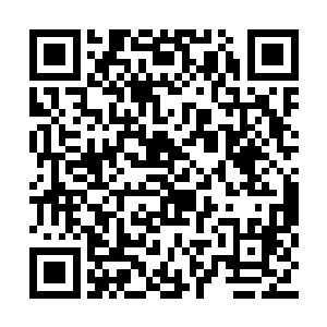 白天则是在希望之城找了个安全的角落休息一下二维码生成