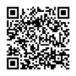 白天吃饭的时候还精神抖擞的说自己觉醒了新的兴趣二维码生成