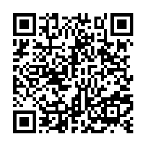 白天抽出小半天的时间教给青云草药和穴位的知识二维码生成