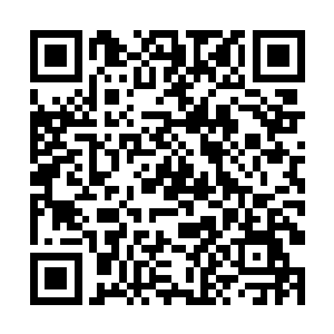 白天的罗宾川在黄埔云与张强赶到的时候就晕了过去二维码生成