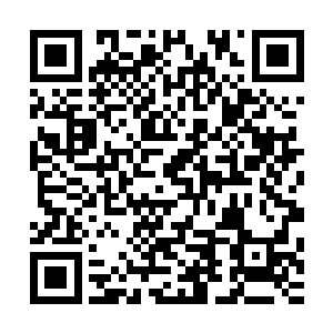 白奇雪在说的时候省略了我为了免费上网才去看她画画的部分二维码生成