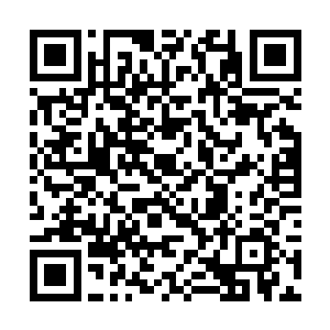 白奇雪见我点头承认脸上反而露出了放心一些的表情二维码生成