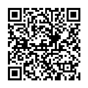 白如玉仿佛已经预料到孙子轩会出现在自己的身后一样二维码生成