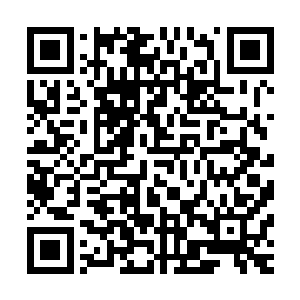 白如玉只是淡淡的看了孙子轩一眼就将视线放在了其他的地方二维码生成